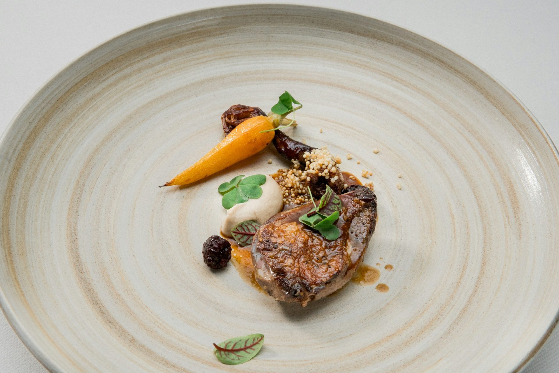 Savor the Art of Modern Cuisine